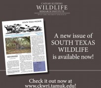Texas A And M Wildlife Job Board - TEXASXO